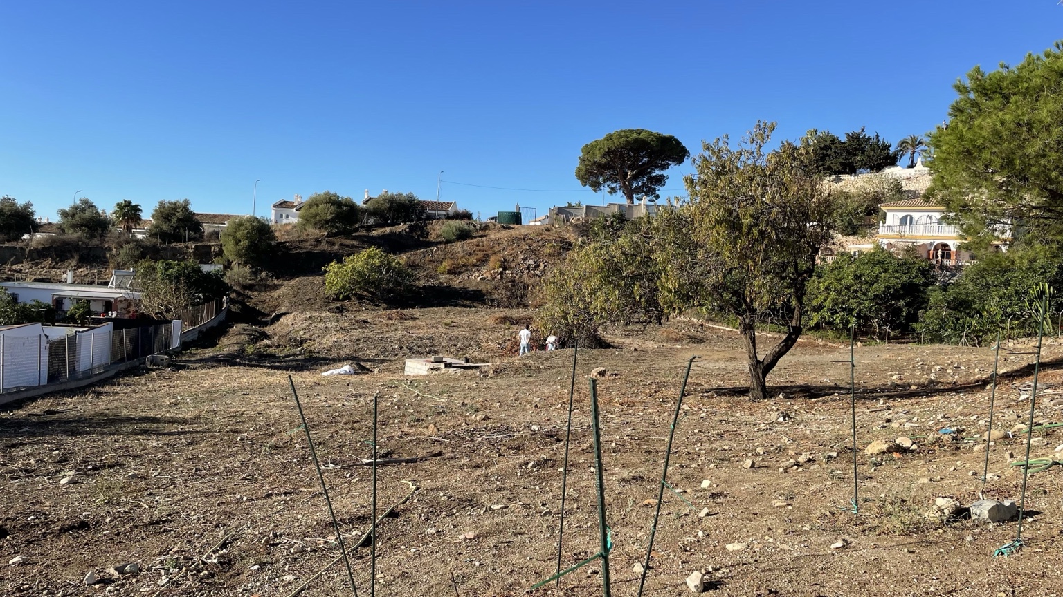 Existing ground, planting and site boundaries before the glamping design proposal.